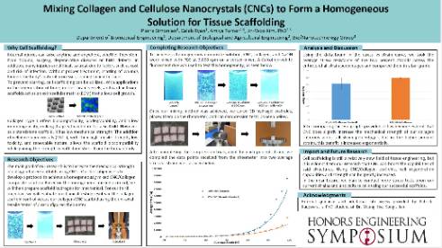 symposium poster